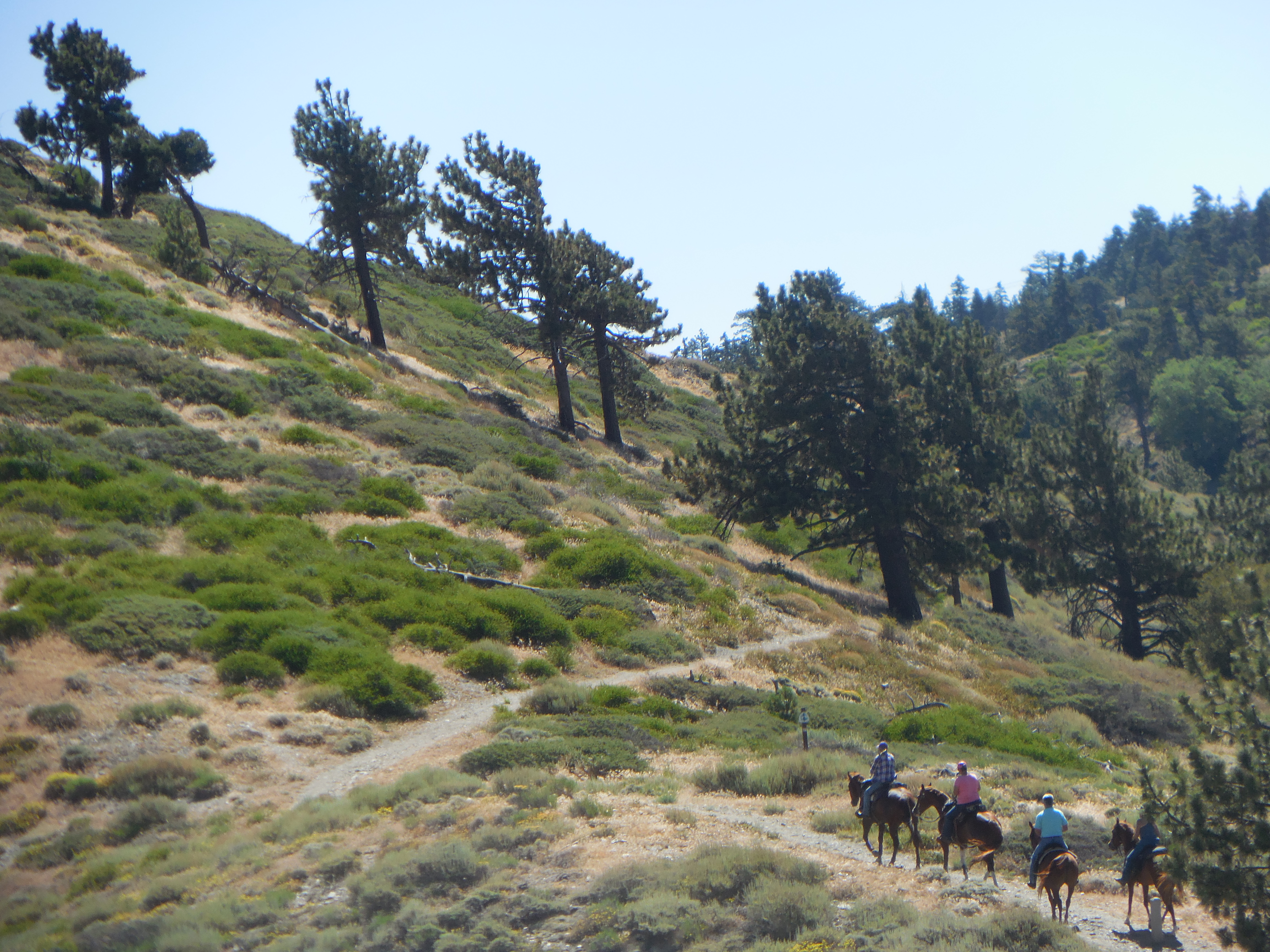 Section-Hiking the PCT, Pacific Crest Trail,