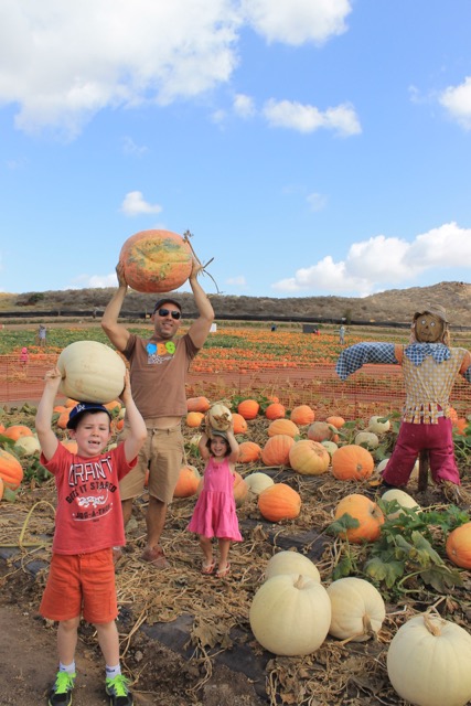 Visit California Farms, Erin Mahoney Harris, California farm harvest, best California farms to visit with kids