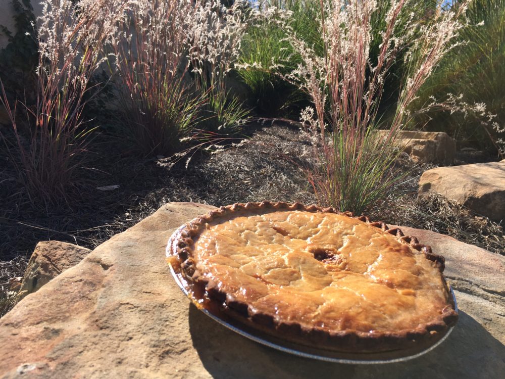 A Fork in the Trail, Laurie Ann March, camping dessert recipes, apple pie recipe