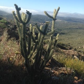 PCT, Sierra hiking, Laura Randall, Pacific Crest Trail guidebook