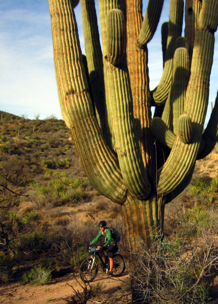 Mt. Humphreys, Arizona National Scenic Trail, AZT, bucket list trips