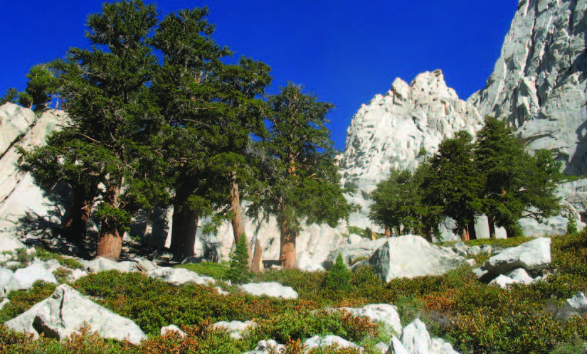 how to train for Mount Whitney, Mount Whitney, One Best Hike: Mount Whitney