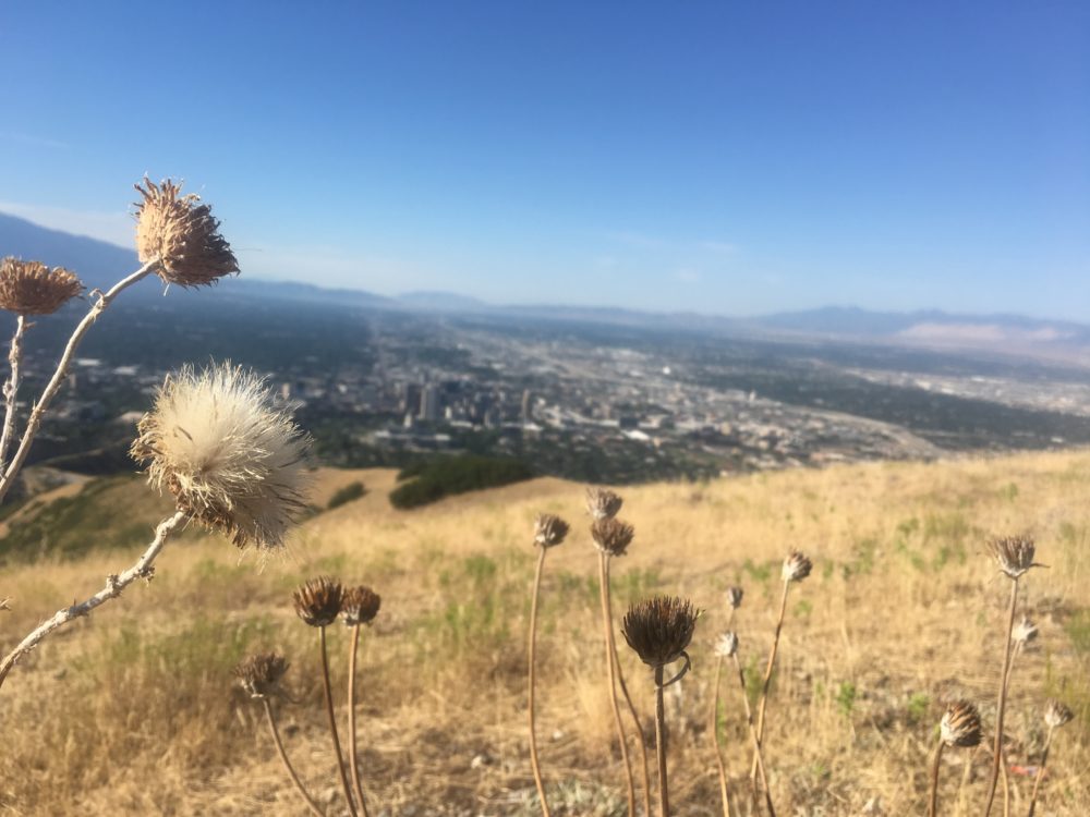 Salt Lake City, Outdoor Retailer, #ORshow, Wilderness Press