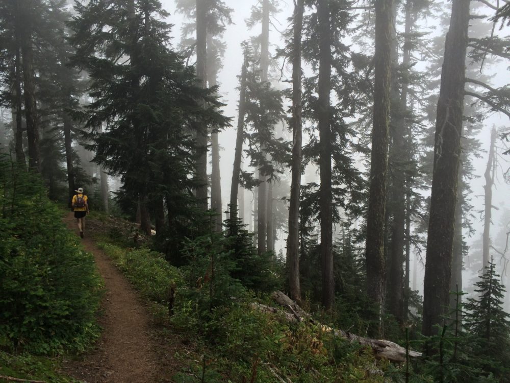 Pacific Crest Trail, day hikes on the PCT, Day & Section Hikes Pacific Crest Trail: Washington, Wilderness Press