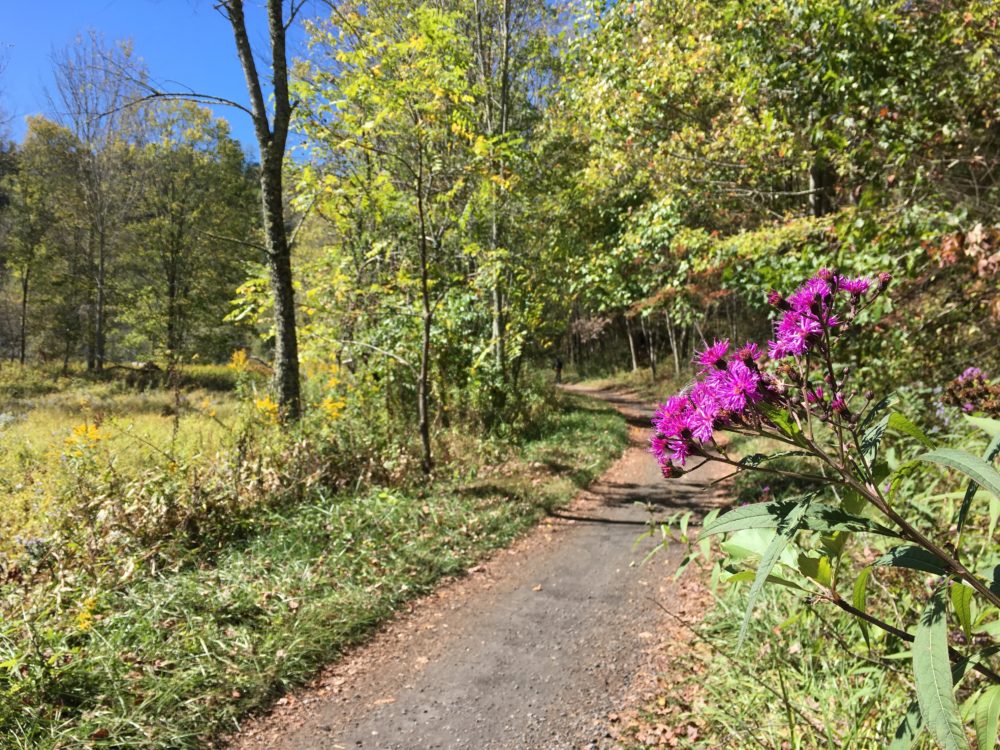Virginia Creeper Trail, Rails-to-Trails Conservancy, ultra running, self-supported ultra