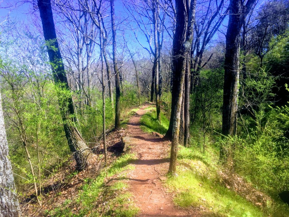 How to Pee in the Woods, Wilderness Press