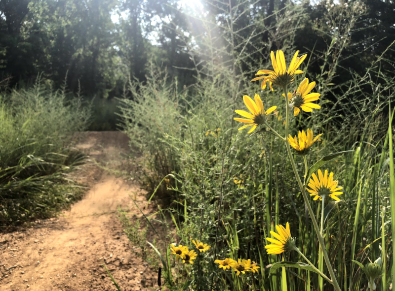 Wilderness Press, tips for summer heat