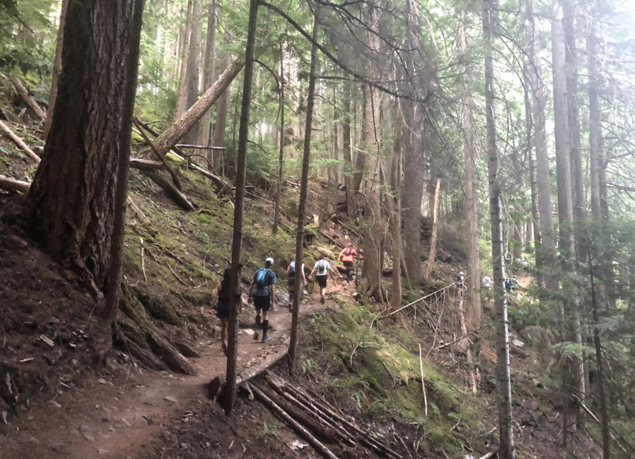 60 Hikes Within 60 Miles: Seattle, Federation Forest State Park, trail running Seattle