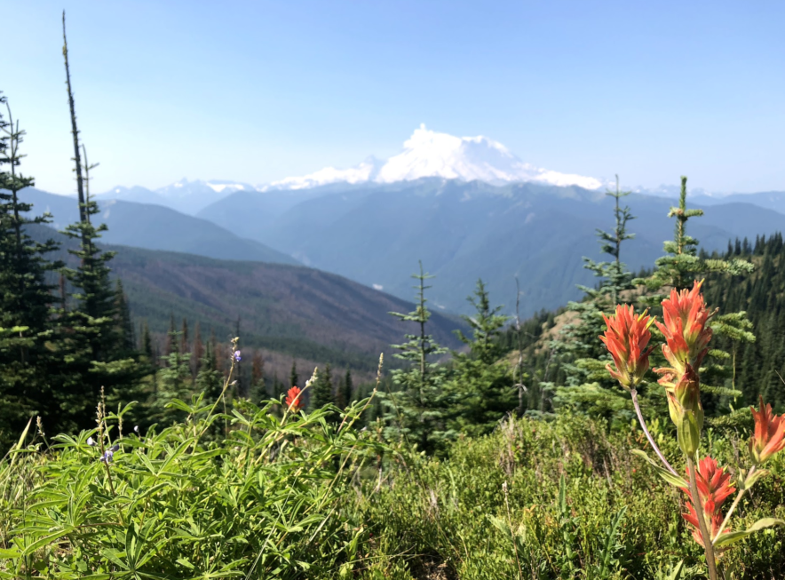 60 Hikes Within 60 Miles: Seattle, Federation Forest State Park, trail running Seattle