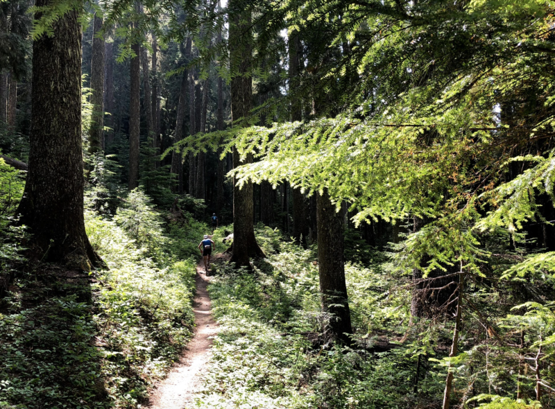 60 Hikes Within 60 Miles: Seattle, Federation Forest State Park, trail running Seattle