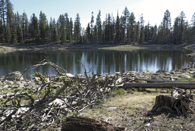 Top Trails: Yosemite, Lizzy Wenk, best Yosemite hikes for fall color, Wilderness Press