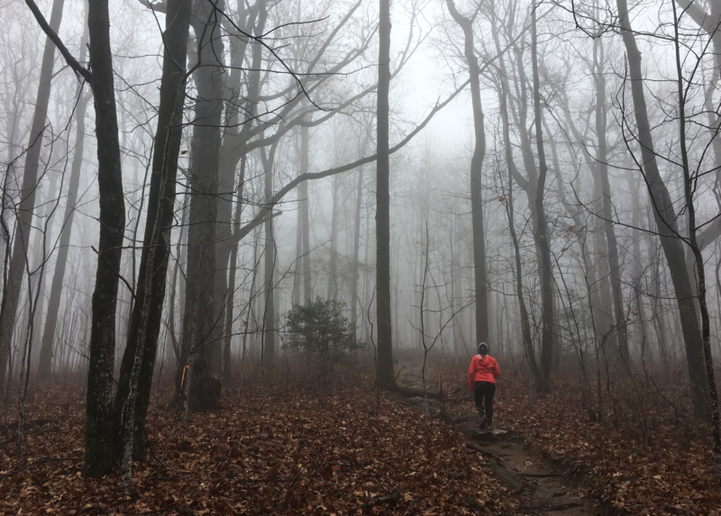 First Day Hikes, Why to go on a first day hike, America's State Parks, Menasha Ridge Press