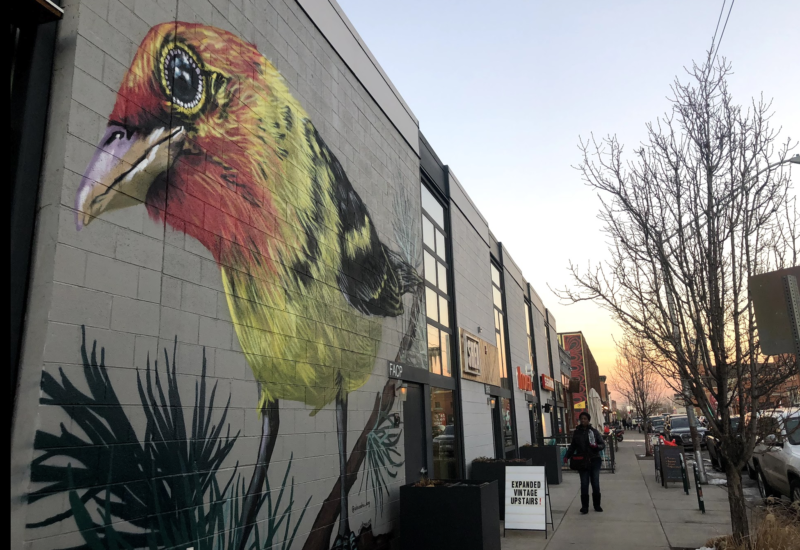 Walking Denver - RiNo Neighborhood