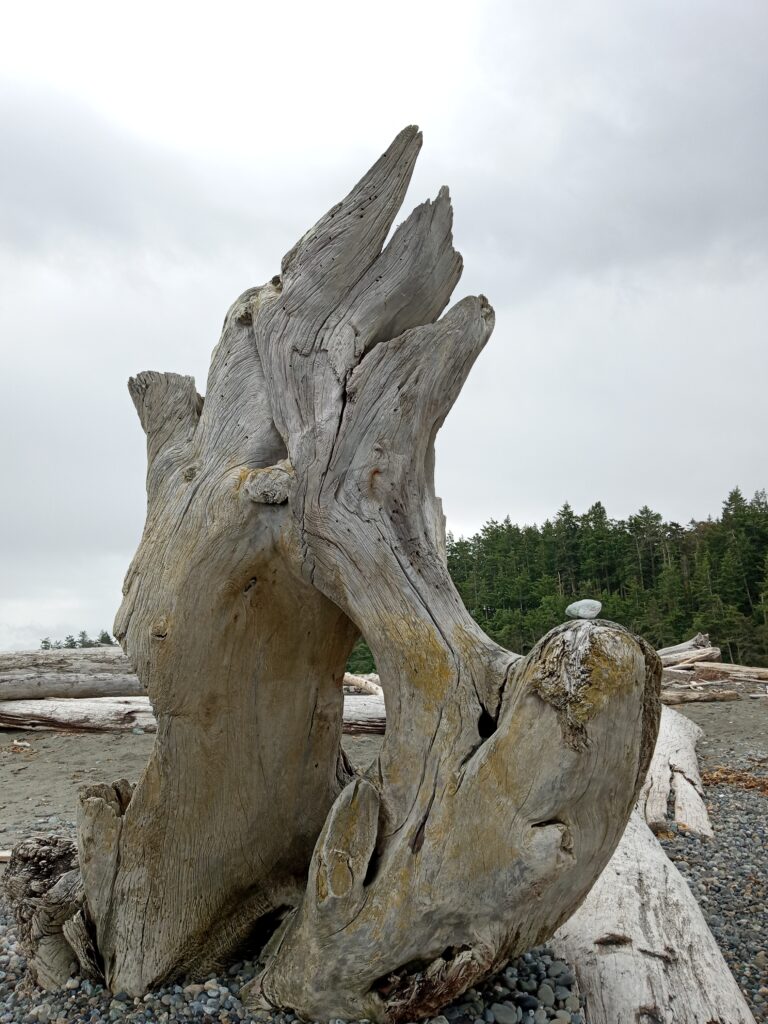 picture of Dungeness Split