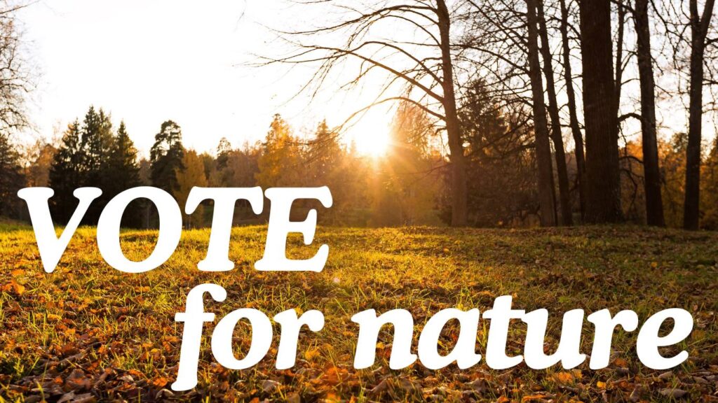 sunset photo with the words vote for nature over it