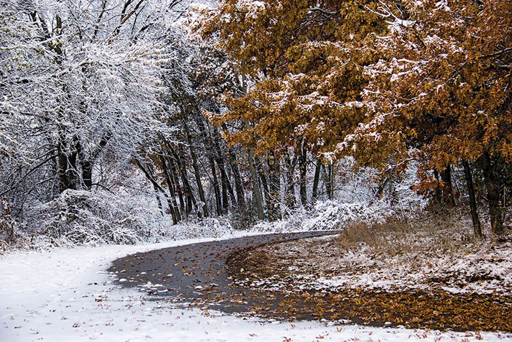 A snow covered trail in the woods