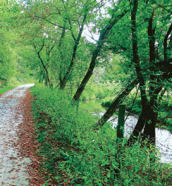 Rails-to-Trails Conservancy, Cannon Valley Trail Minnesota, Harmony-Preston Valley State Trail, Gitchi-Gami State Trail, Paul Bunyan State Trail, Rail-Trails Minnesota, Glacial Lakes State Trail, 