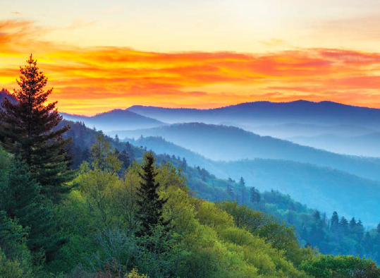 Top Trails: Great Smoky Mountains National Park, Johnny Molloy, horseback riding in the Smokies